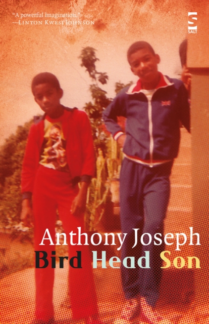 Bird Head Son, Paperback / softback Book