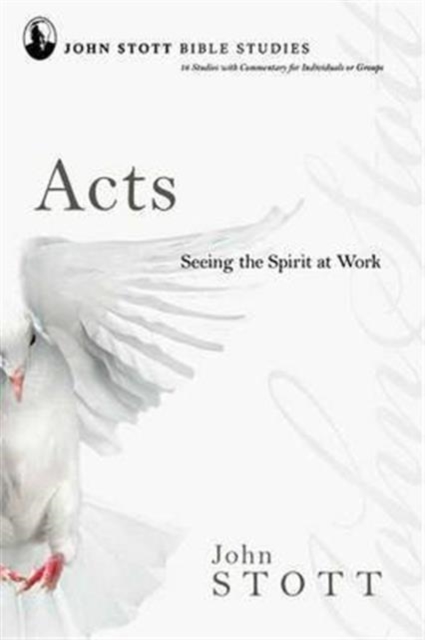 Acts : Seeing The Spirit At Work, Paperback / softback Book