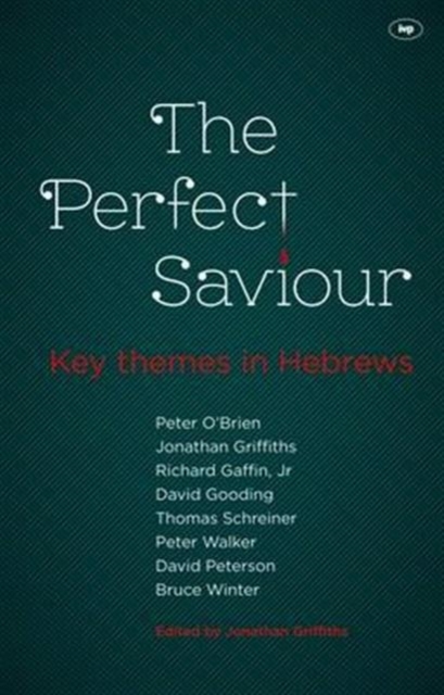 The Perfect Saviour, Paperback / softback Book