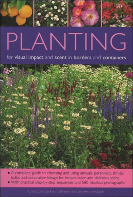 Planting for Visual Impact and Scent in Borders and Containers : A Complete Guide to Choosing and Using Annuals, Perennials, Shrubs, Bulbs and Decorative Foliage, with Practical Step-by-Step Sequences, Paperback / softback Book