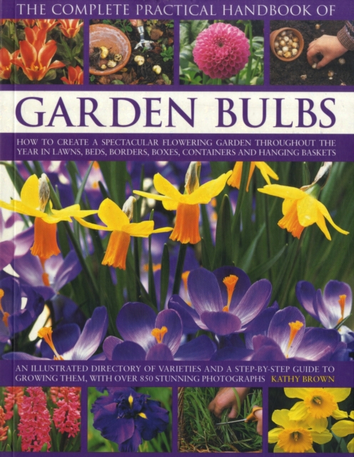 Complete Practical Handbook of Garden Bulbs, Paperback / softback Book