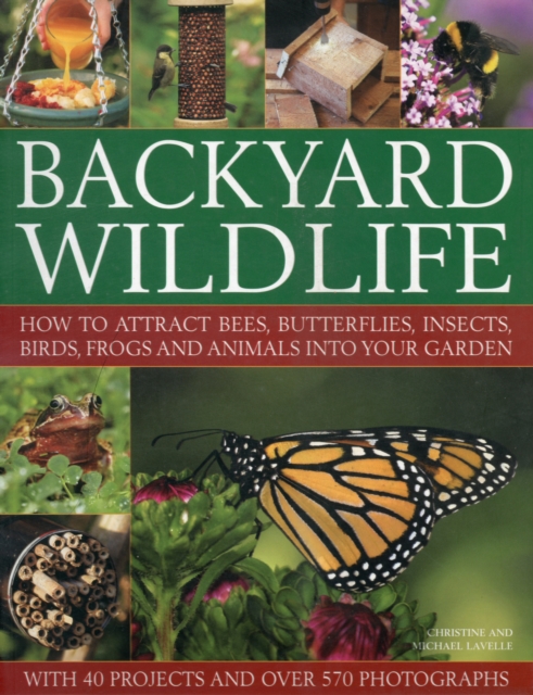 Backyard Wildlife : How to Attract Bees, Butterflies, Insects, Birds, Frogs and Animals into Your Garden, Paperback / softback Book