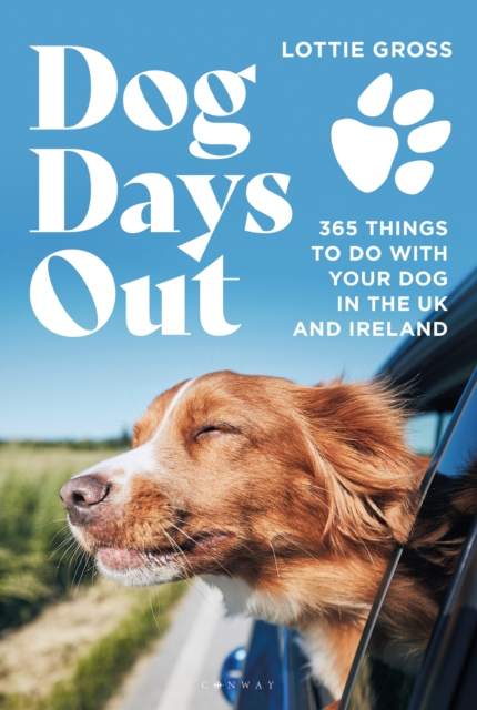 Dog Days Out : 365 Things to Do with Your Dog in the Uk and Ireland, PDF eBook