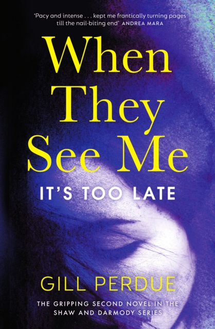 When They See Me : The gripping second novel in the Shaw and Darmody series, Paperback / softback Book