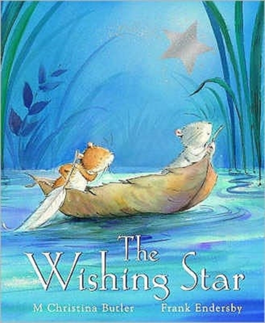 The Wishing Star, Hardback Book