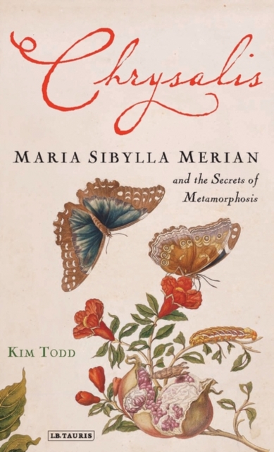Chrysalis : Maria Sibylla Merian and the Secrets of Metamorphosis, Hardback Book