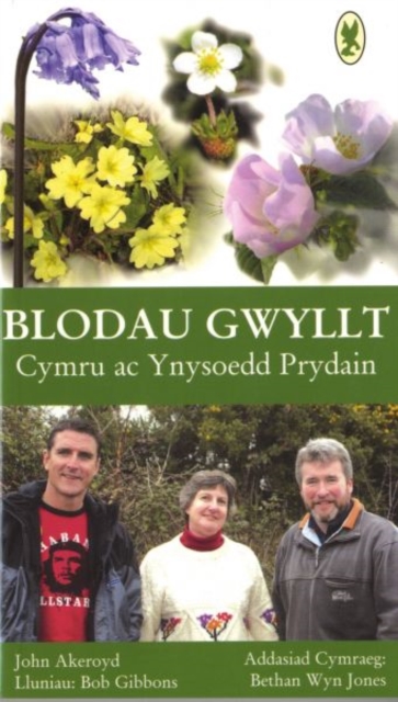 Blodau Gwyllt Cymru ac Ynysoedd Prydain, Paperback / softback Book