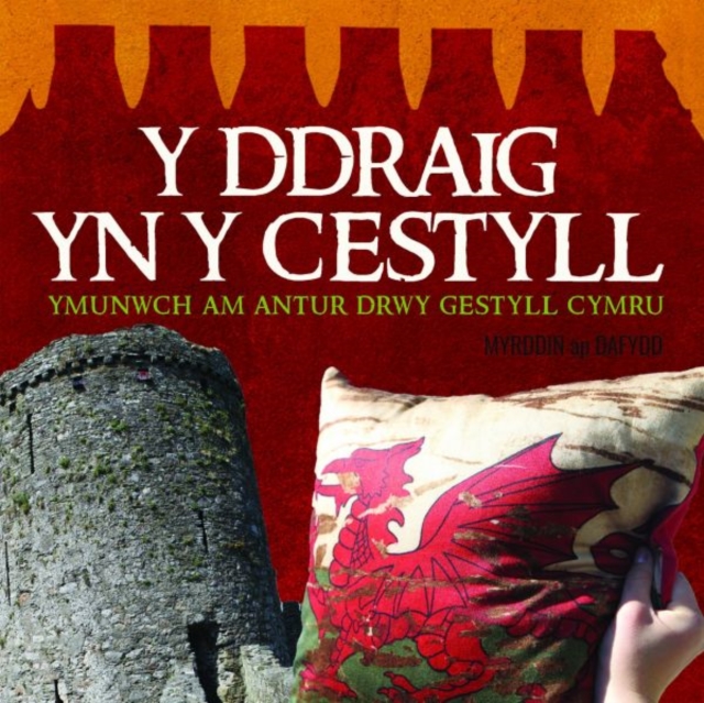 Ddraig yn y Cestyll, Y, Paperback / softback Book
