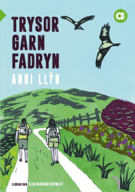 Cyfres Amdani: Trysor Garn Fadryn, Paperback / softback Book