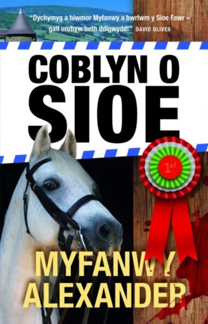 Coblyn o Sioe, Paperback / softback Book