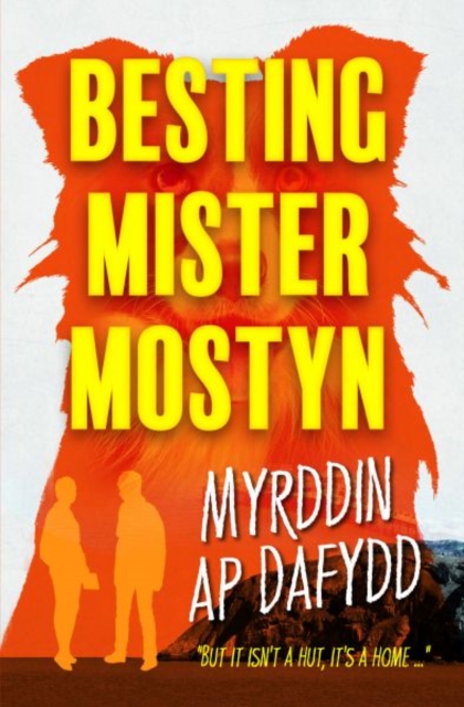 Besting Mister Mostyn, Paperback / softback Book