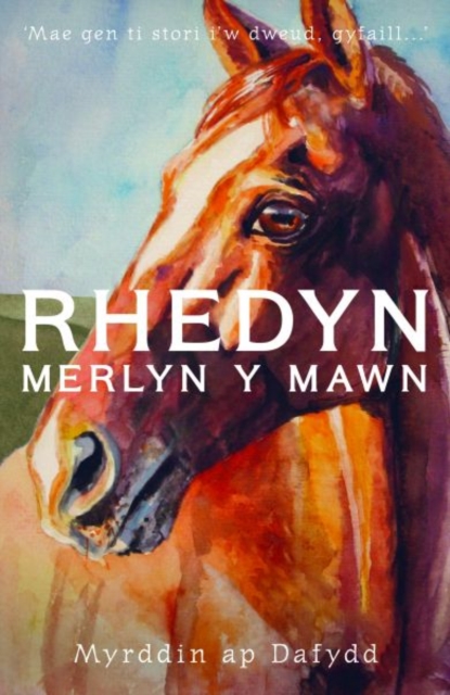 Rhedyn, Merlyn y Mawn a'r Glo, Paperback / softback Book
