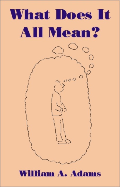 What Does it All Mean? : A Humanistic Account of Human Experience, Hardback Book