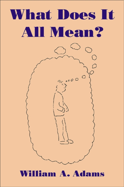 What Does It All Mean? : A Humanistic Account of Human Experience, EPUB eBook