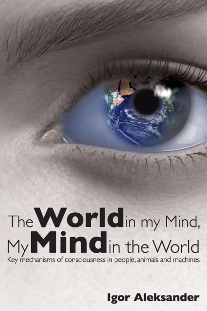 The World in My Mind, My Mind in the World, PDF eBook