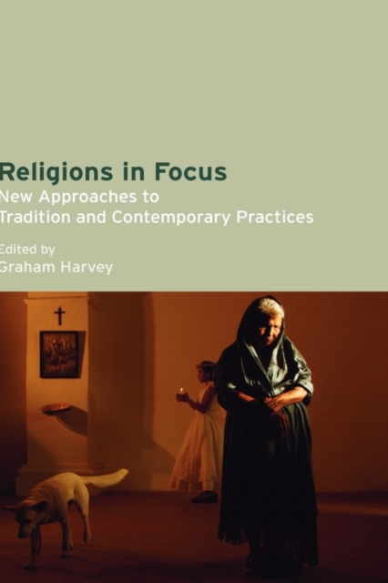 Religions in Focus : New Approaches to Tradition and Contemporary Practices, Hardback Book