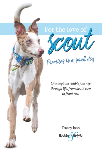 For the Love of Scout : Promises to a Small Dog, Paperback / softback Book