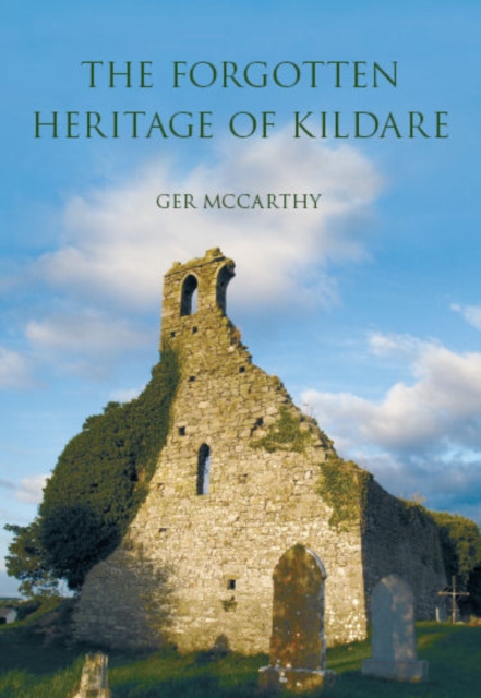 The Forgotten Heritage of Kildare, Paperback / softback Book