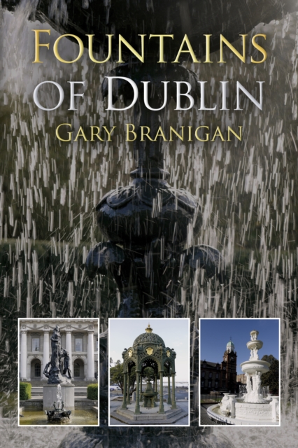 Fountains of Dublin, Paperback / softback Book