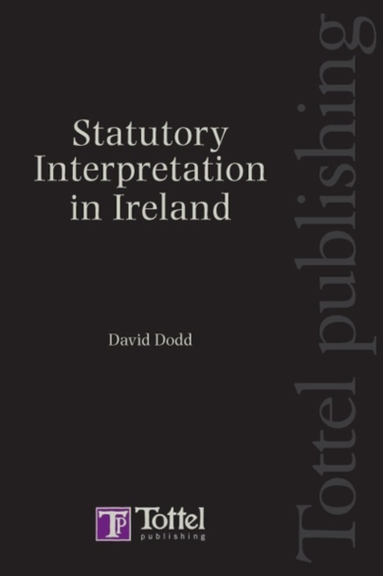 Statutory Interpretation in Ireland, Hardback Book
