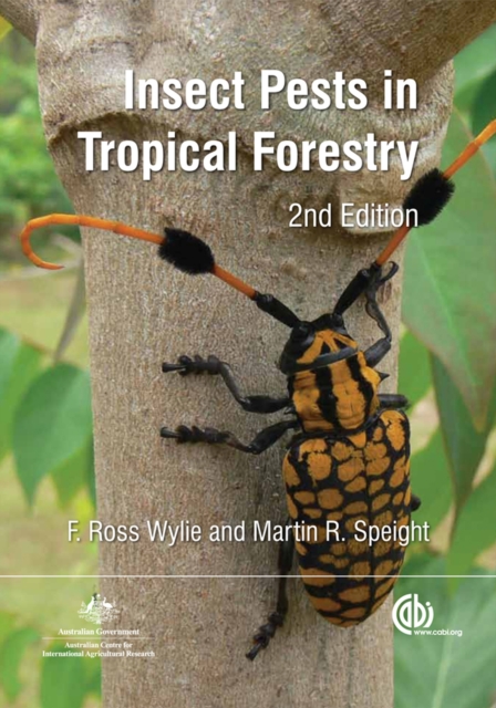 Insect Pests in Tropical Forestry, Paperback / softback Book