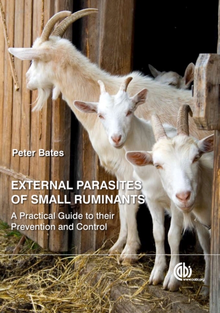 External Parasites of Small Ruminants : A Practical Guide to their Prevention and Control, Hardback Book