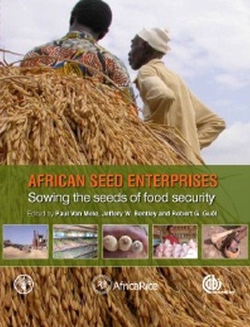African Seed Enterprises : Sowing the Seeds of Food Security, Hardback Book