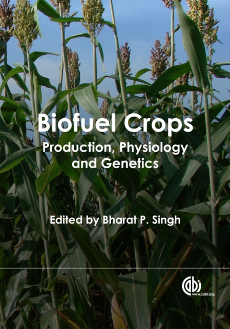 Biofuel Crops : Production, Physiology and Genetics, PDF eBook