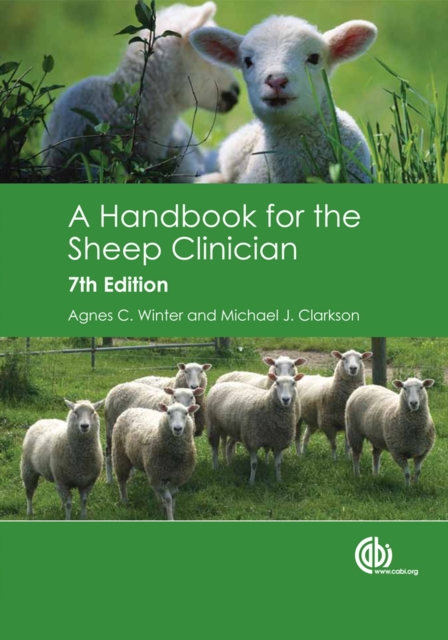 Handbook for the Sheep Clinician, A, Hardback Book