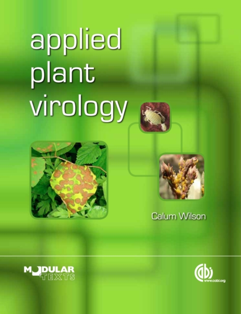 Applied Plant Virology, Paperback / softback Book