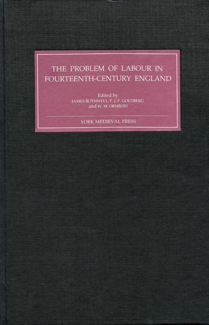 The Problem of Labour in Fourteenth-Century England, PDF eBook