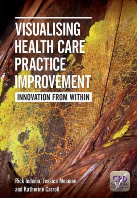 Visualising Health Care Practice Improvement : Innovation from Within, Paperback / softback Book