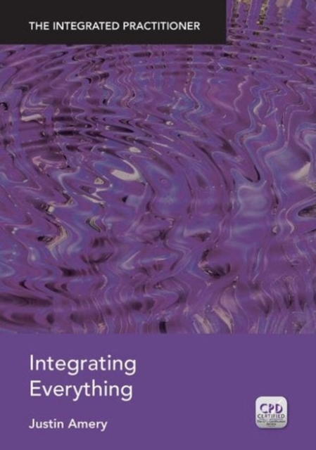 Integrating Everything : The Integrated Practitioner, Paperback / softback Book
