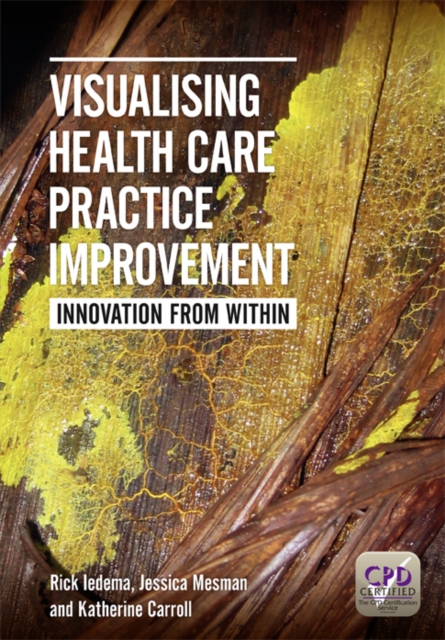 Visualising Health Care Practice Improvement : Innovation from within, EPUB eBook