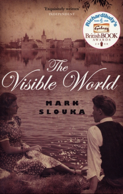 The Visible World, Paperback / softback Book