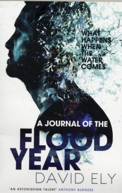 A Journal Of The Flood Year, Paperback / softback Book