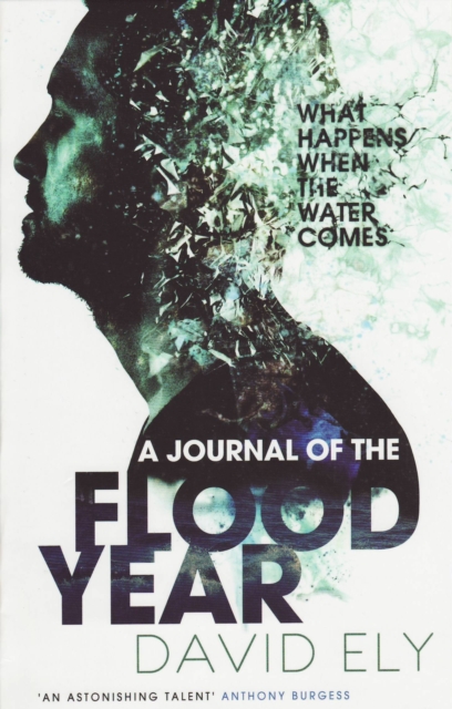 A Journal Of The Flood Year, EPUB eBook