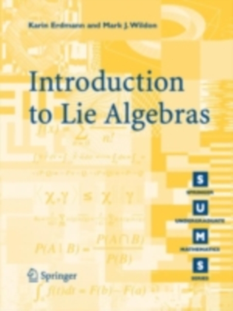 Introduction to Lie Algebras, PDF eBook