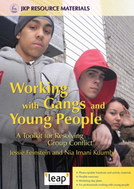 Working with Gangs and Young People : A Toolkit for Resolving Group Conflict, PDF eBook