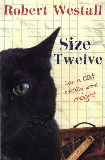 Size Twelve, Paperback / softback Book