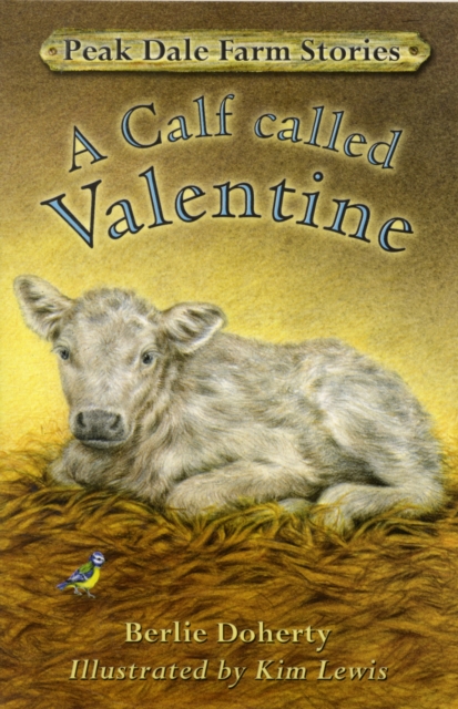 Peak Dale Farm Stories : A Calf Called Valentine Bk.1, Paperback / softback Book