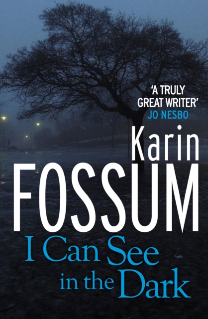 I Can See in the Dark, Paperback / softback Book
