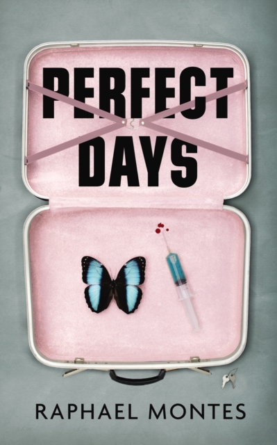 Perfect Days, Paperback / softback Book