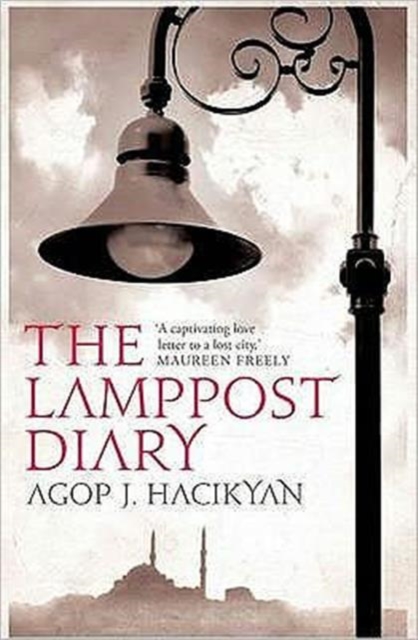 The Lamppost Diary, Paperback Book