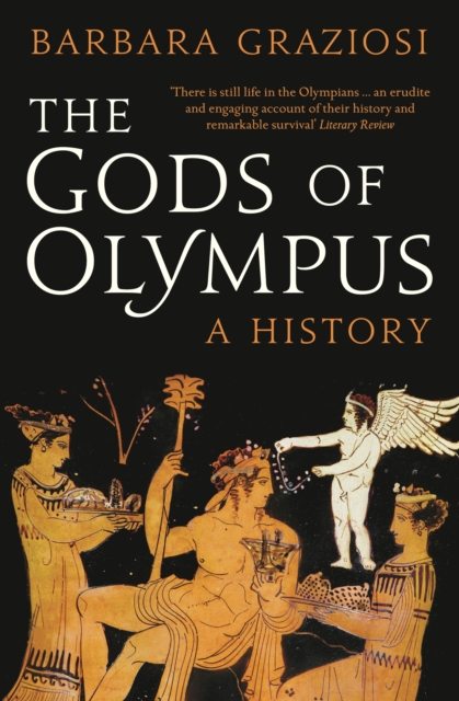 The Gods of Olympus: A History, Paperback / softback Book
