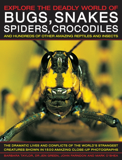Explore the Deadly World of Bugs, Snakes, Spiders, Crocodiles : And Hundreds of Other Amazing Reptiles and Insects, Hardback Book