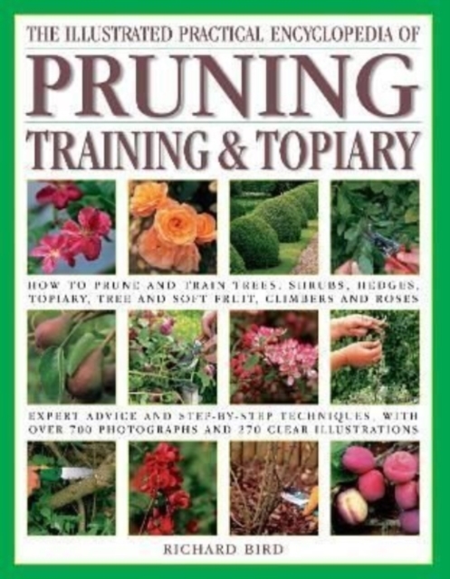 The Pruning, Training & Topiary, Illustrated Practical Encyclopedia of : How to prune and train trees, shrubs, hedges, topiary, tree and soft fruit, climbers and roses; practical advice and step-by-st, Paperback / softback Book