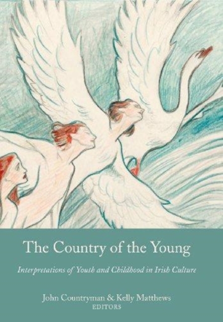 The Country of the Young : Interpretations of Youth and Childhood in Irish Culture, Hardback Book