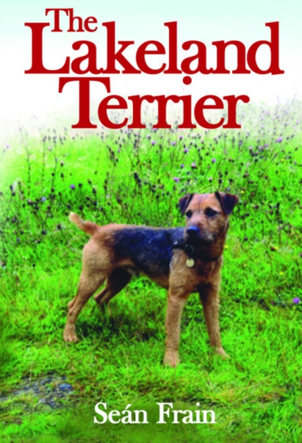 Lakeland Terrier, Paperback Book