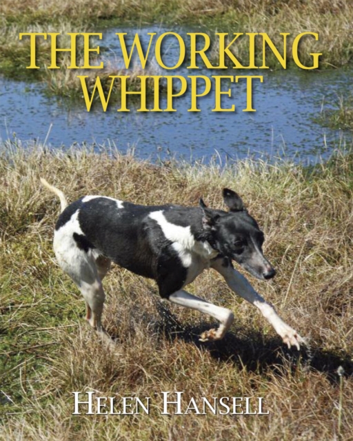 The Working Whippet, Hardback Book